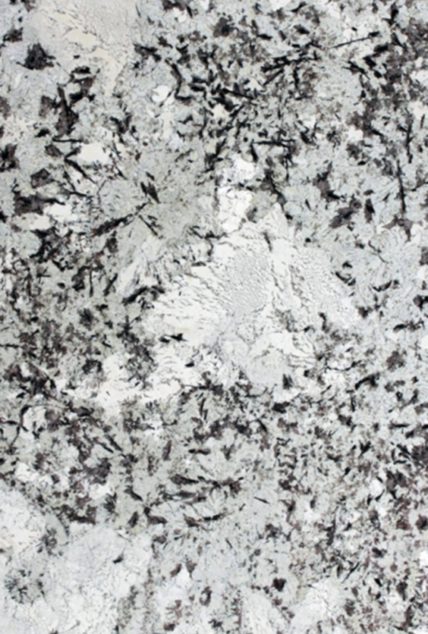 Alaska white